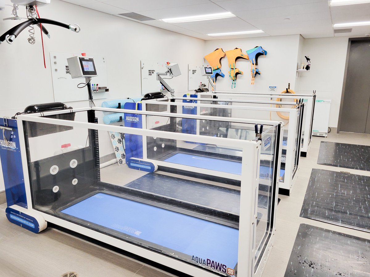 Our team was excited to celebrate everyone’s hard work at Tuesday’s grand opening of the King Animal Hospital! At 60,000-sf across 4 levels and 180 specialized staff, the scale and complexity of this facility is unmatched in Canada. #animalhospital

rb.gy/6c7ug0