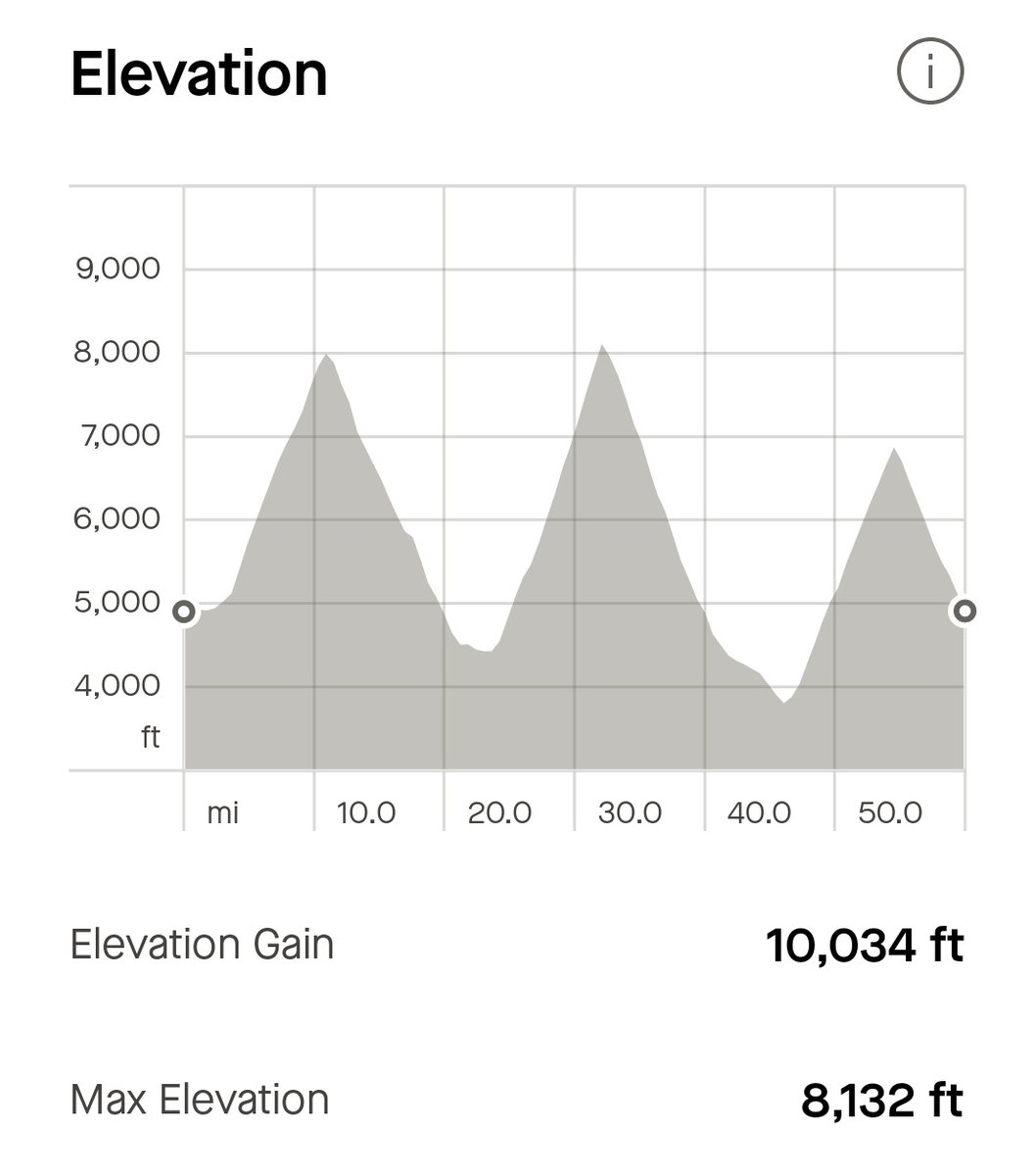 Zoë Westerman 🏴󠁧󠁢󠁷󠁬󠁳󠁿 tweet media