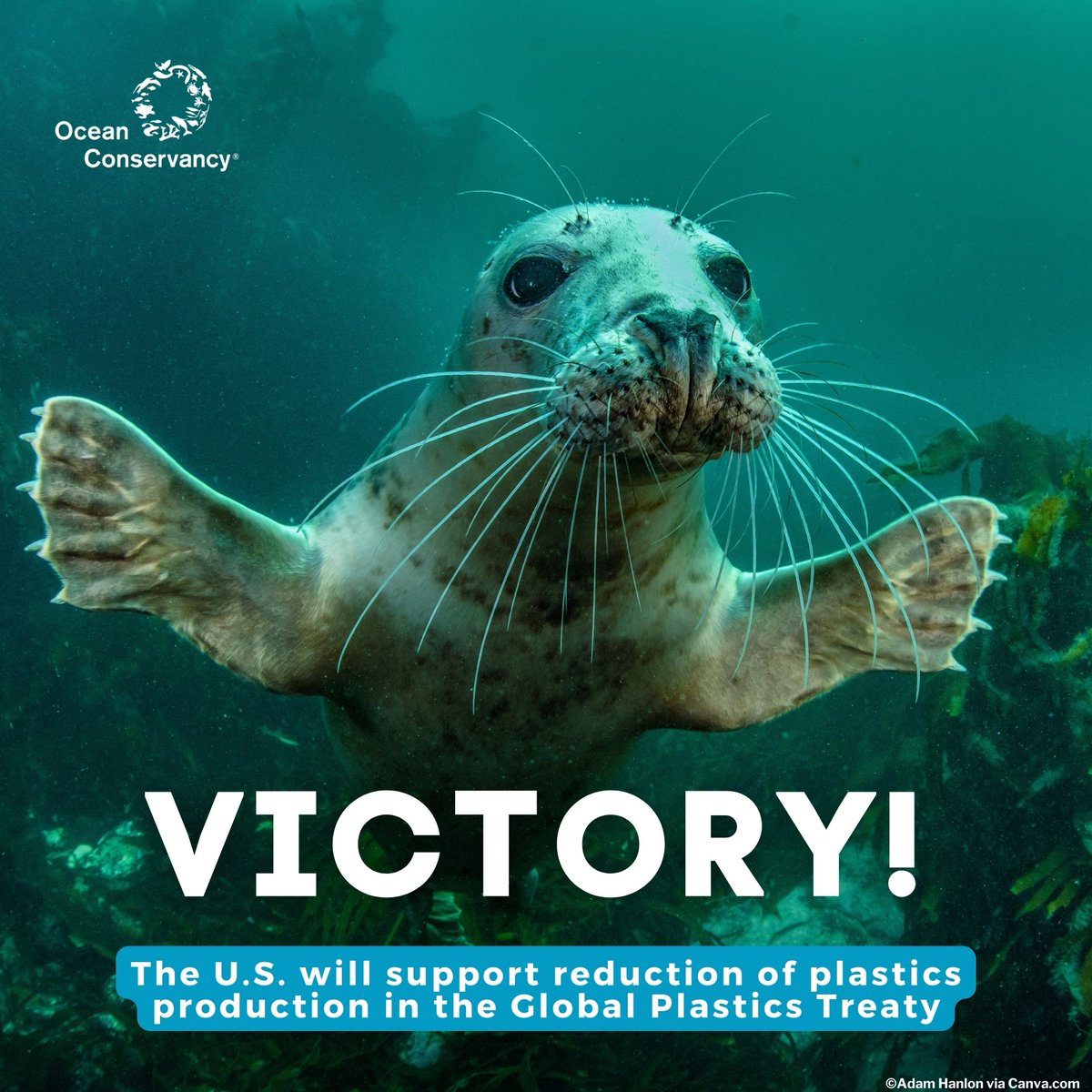 🎉OCEAN VICTORY! 🎉

The U.S. will now officially support the reduction of plastic production in the Global #PlasticsTreaty! ✅