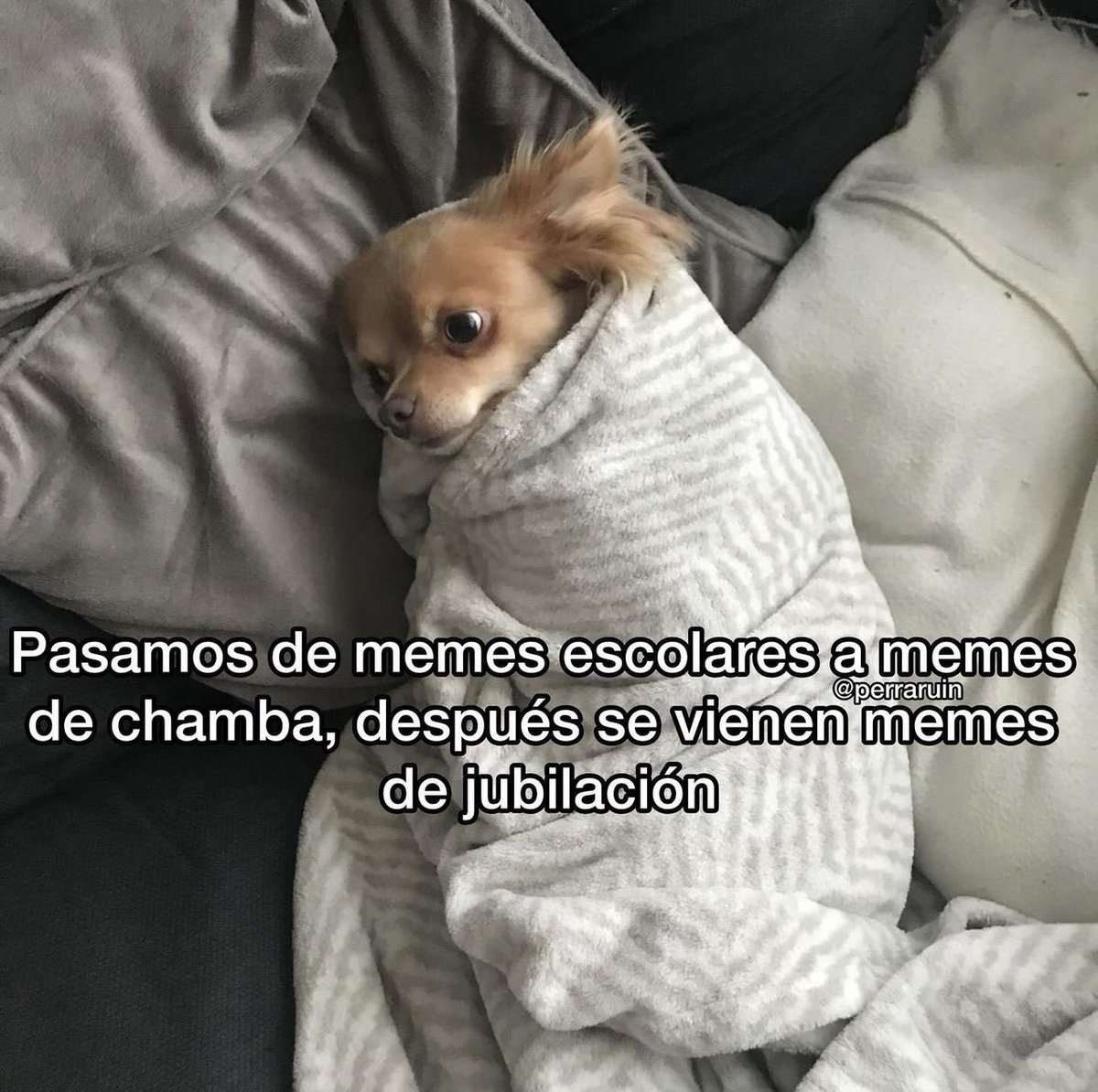 Guarromantico_'s tweet image. El ciclo de la vida.