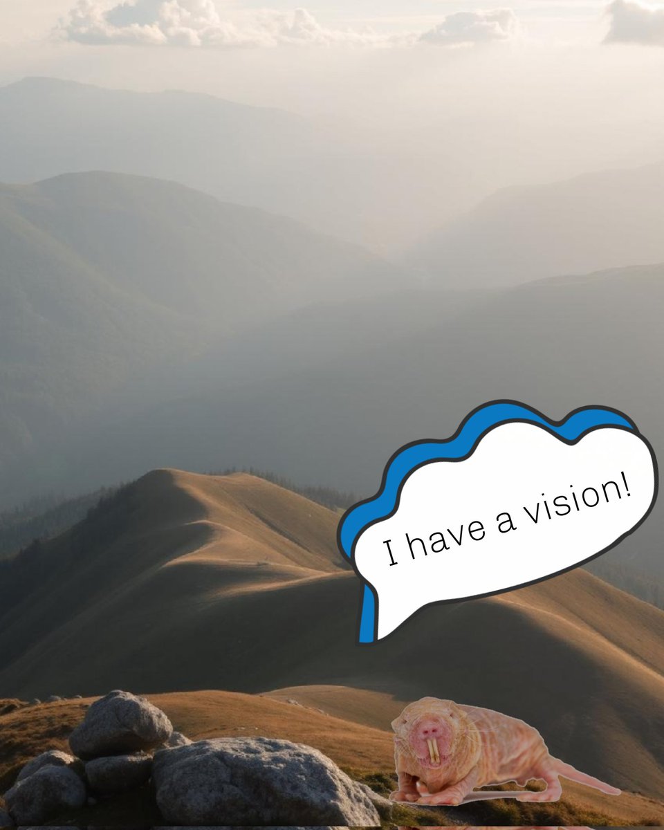 NakedMolecoin's tweet photo. 💬 "I have a vision…"  
  
Something is coming, but only the bold will see it first. 🕵️‍♂️ Stay tuned.  
#NakedMoleCoin #AbsolutelyUseless #TotallyNaked #PAWChain $NAMO https://t.co/uHZFf2oV6Z