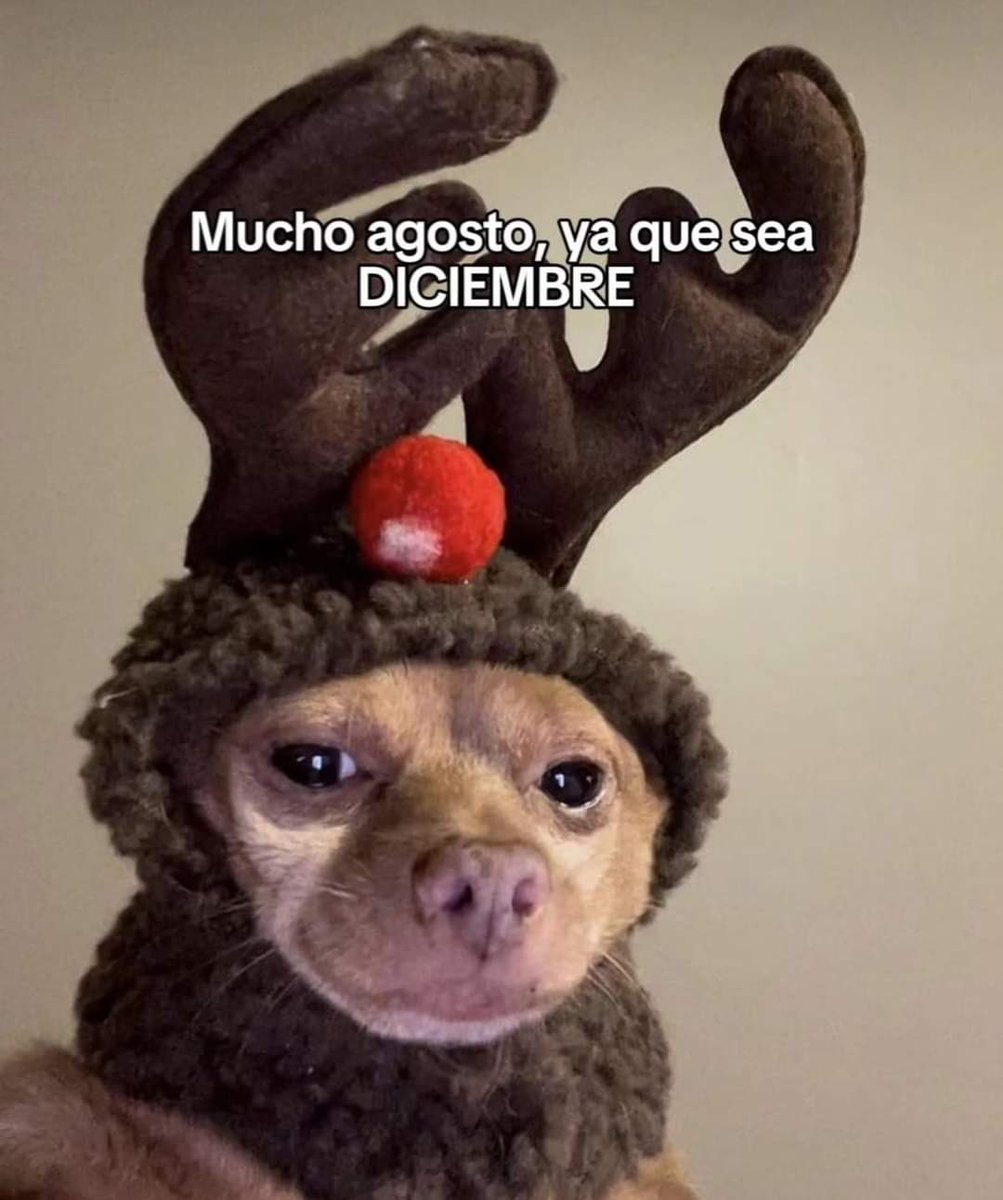 pedrojsaf's tweet photo. Por favor ! 🎅🏽🙊 https://t.co/iulaBwJ8ud