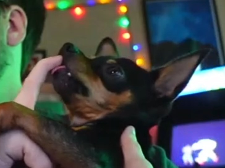 The VGBees Podcast starts in 10 MINUTES over on

twitch // vgbees