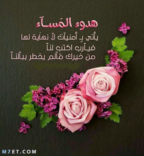 البعض يطيب لهم المساء.... والبعض يطيب بهم المساء ....وما أجمل المساء بأرواح وقلوب مثلكم......                #مساء_الــود_والـــورد
#تابعني_أتابعك