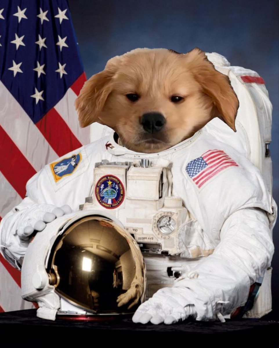 rise and shine bros

we're on a mission