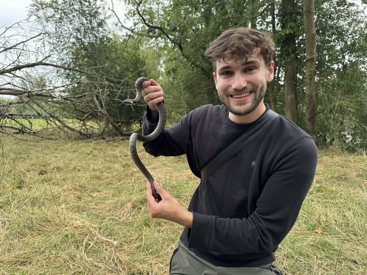 ymalhi's tweet photo. What better thing to do after a day in the office than go in a snake survey with @miniwildlife at Park Farm @UniofOxford @NatureRecovery ? https://t.co/kvMFliq53d