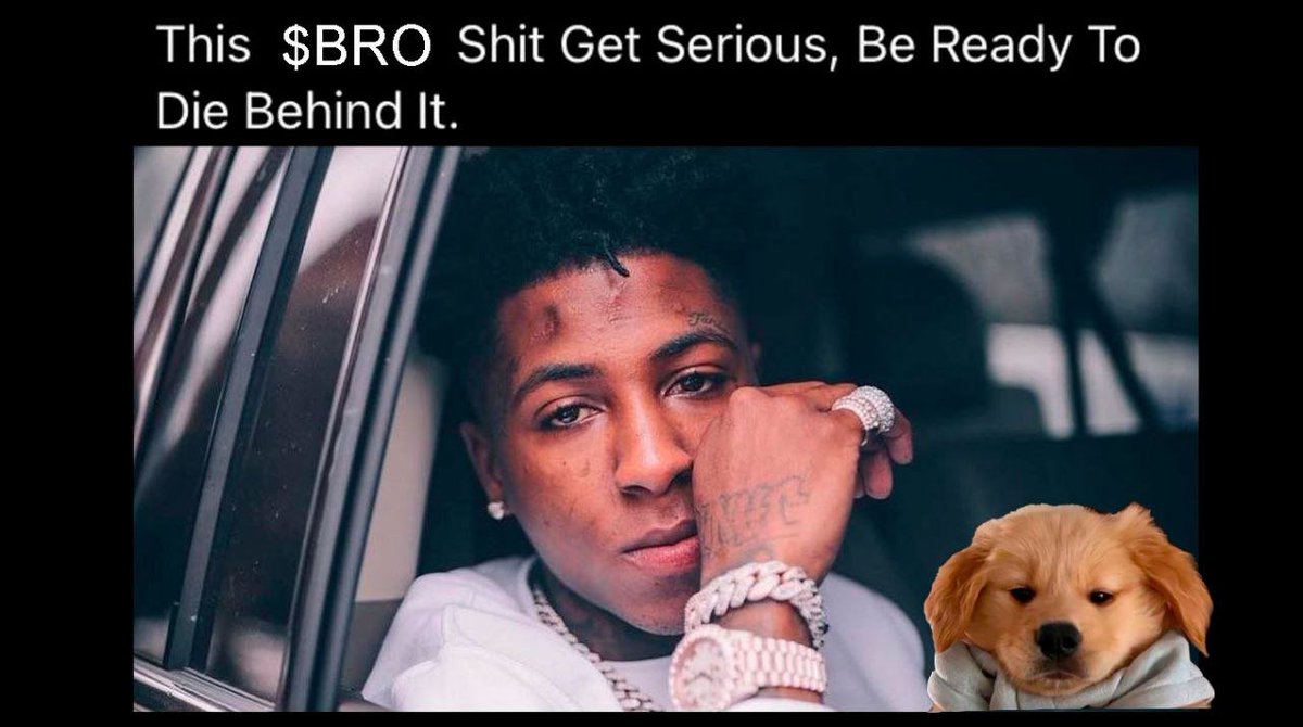 BroDogCoin CTO (@brodogcoincto) on Twitter photo 