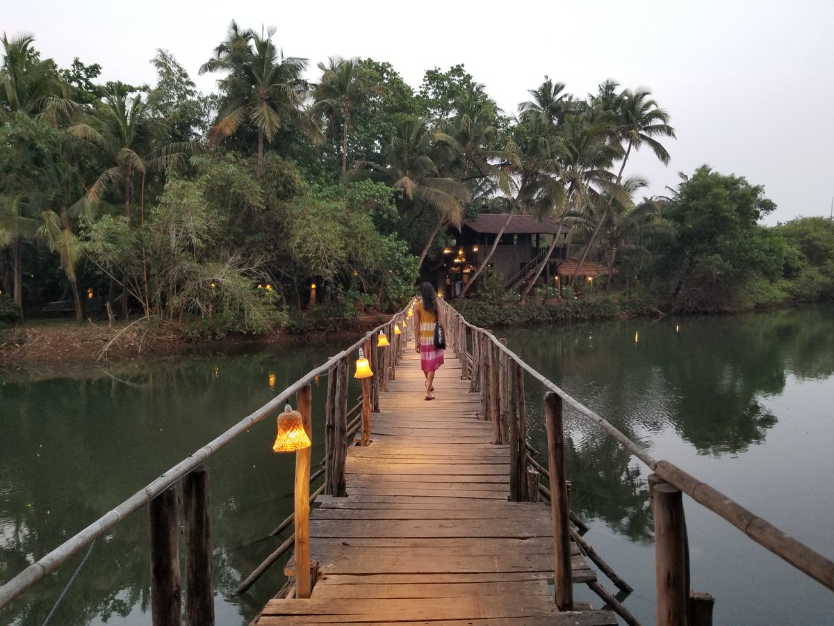 RestorativeTrav's tweet photo. Know what happens at an Ayurvedic Retreat before you book one. 
What is Ayurveda?  What will you eat? What therapies are like, and more....

https://t.co/jbXmpcg4Eh https://t.co/kpXMhlhJDM