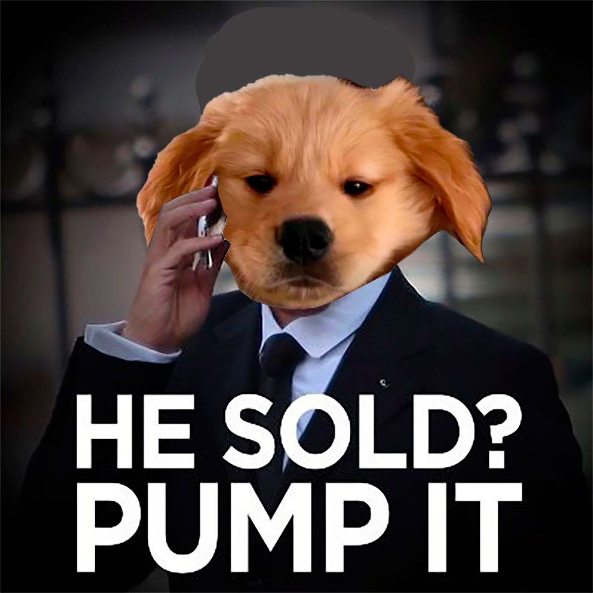 he sold $bro?

pump it.