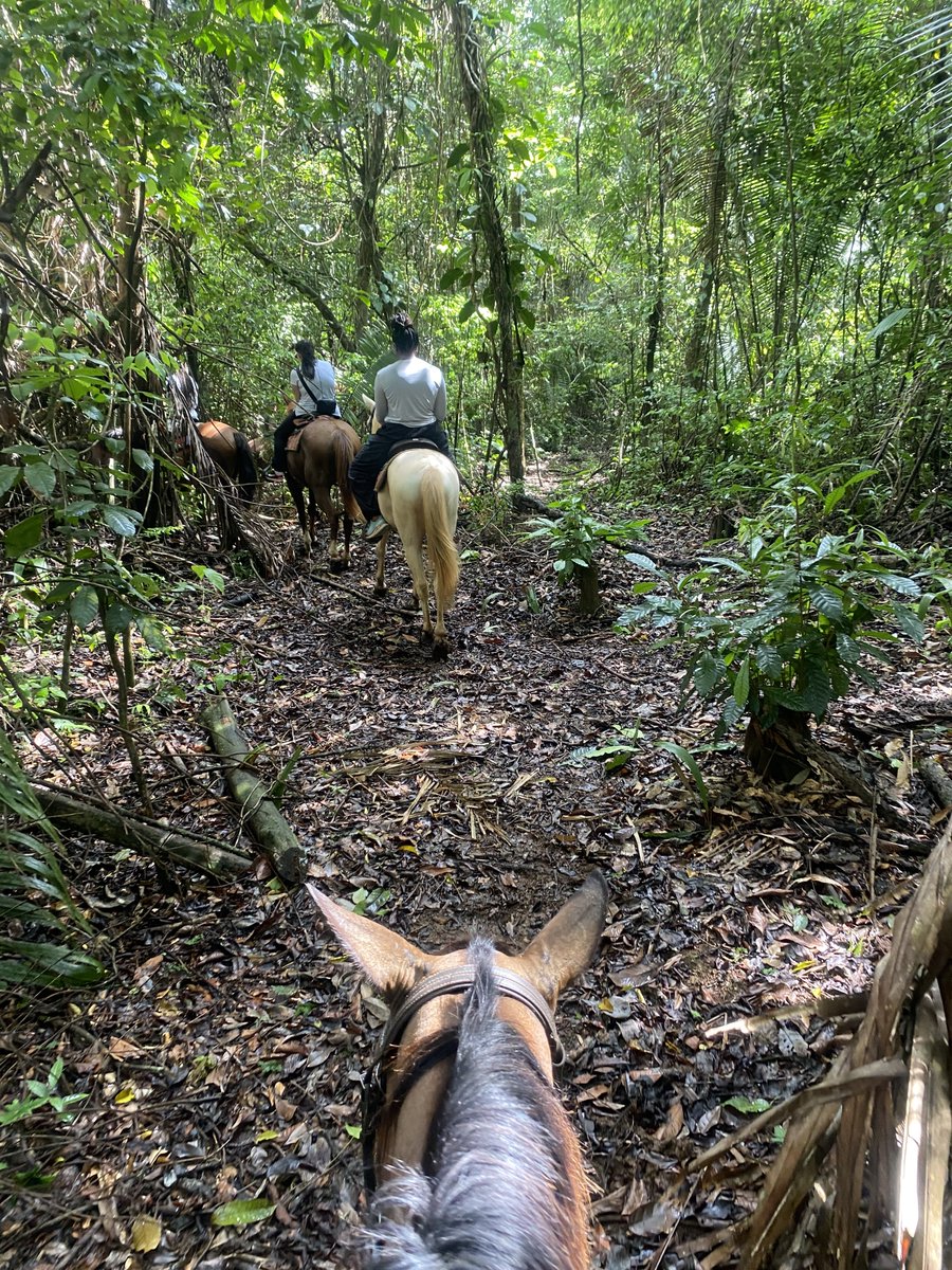 When BioGals says "Go have fun" we mean it! We are a group of magnificent Women of Color living out our best life in Belize, where the weather stayed wonderful and the food nourished us! Thank you Belize we are grateful #SE2024 #BioGals