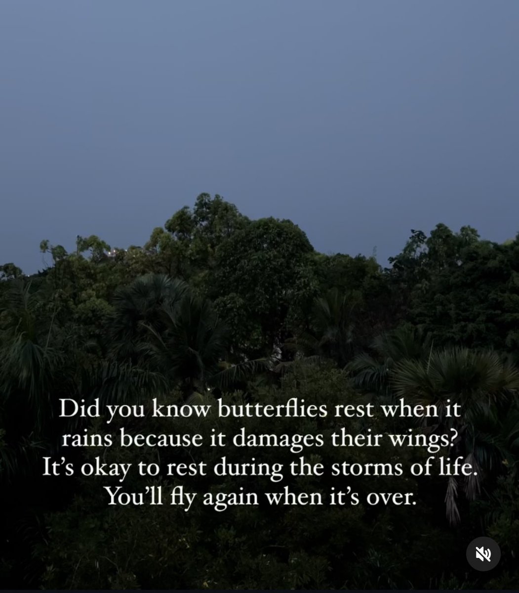 notyourglitter's tweet photo. https://t.co/DwHOuOu2SW