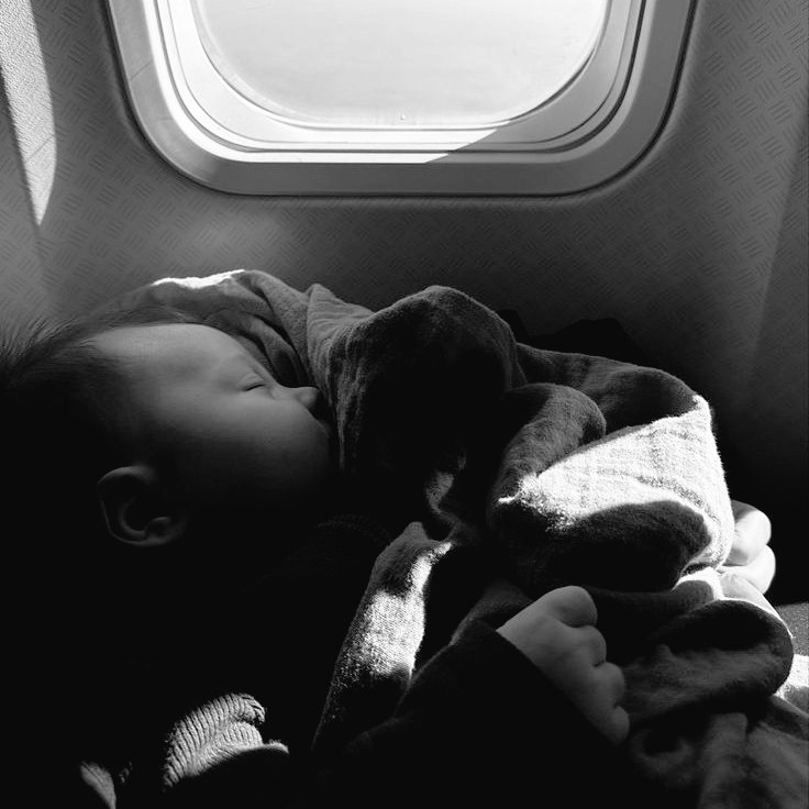 bloodancestral's tweet photo. — Nessun bambino è stato sottoposto all'effetto vampiro per aiutarlo a sopportare il viaggio in Corea. https://t.co/tJc2Ay5ept