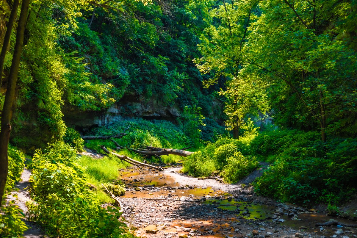 blackholescream's tweet photo. #nature #illinois #illinoisphotographer #naturephotography #hiking #hikingadventures https://t.co/Puo7pigw8x