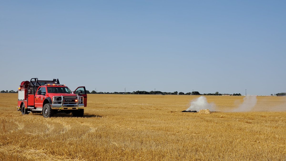 Seahawk_Service's tweet image. Throwback to playing with the beast a few years back. #tbt