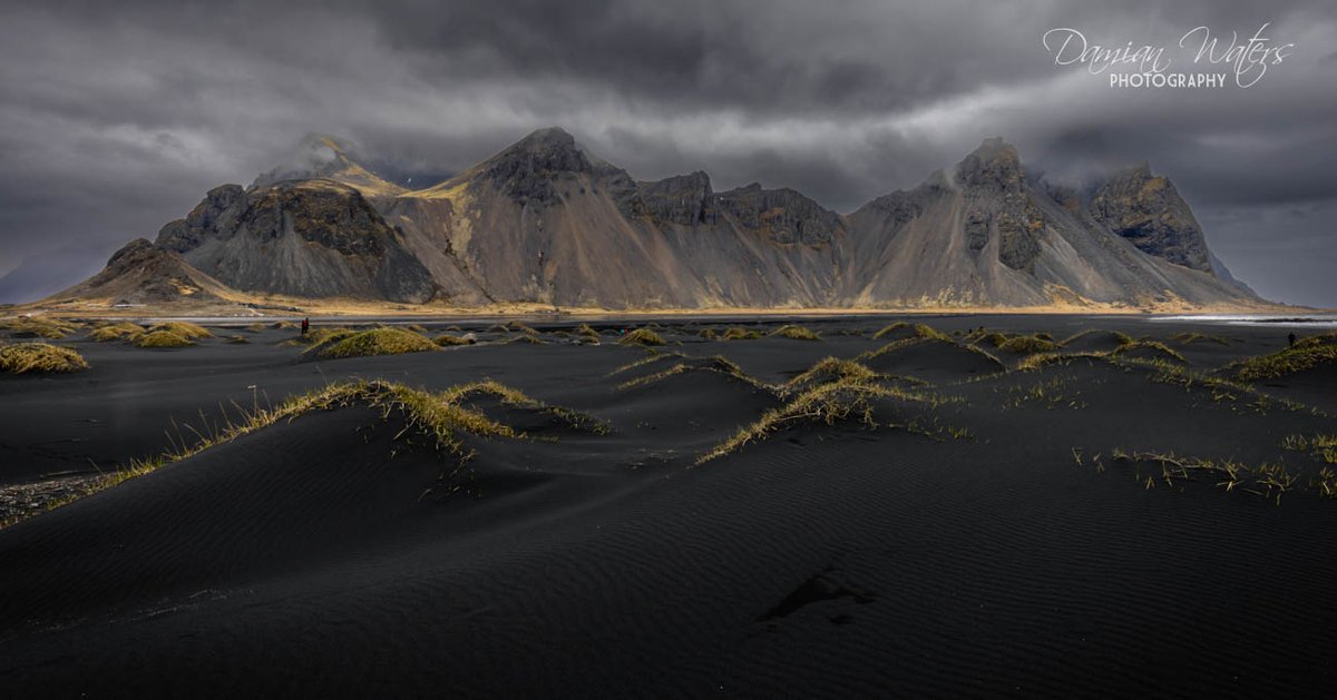 Damian Waters tweet media