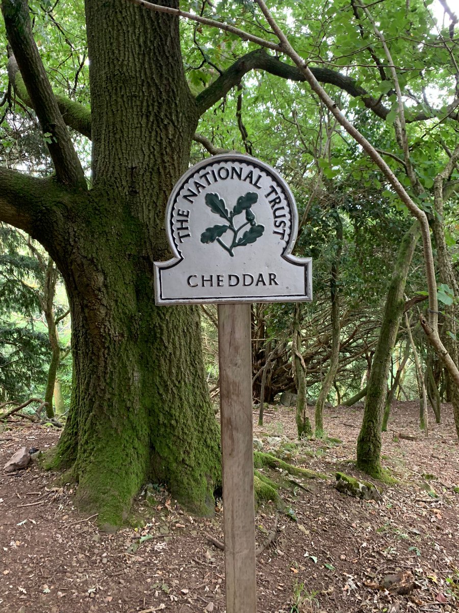 Hannah Vines tweet media