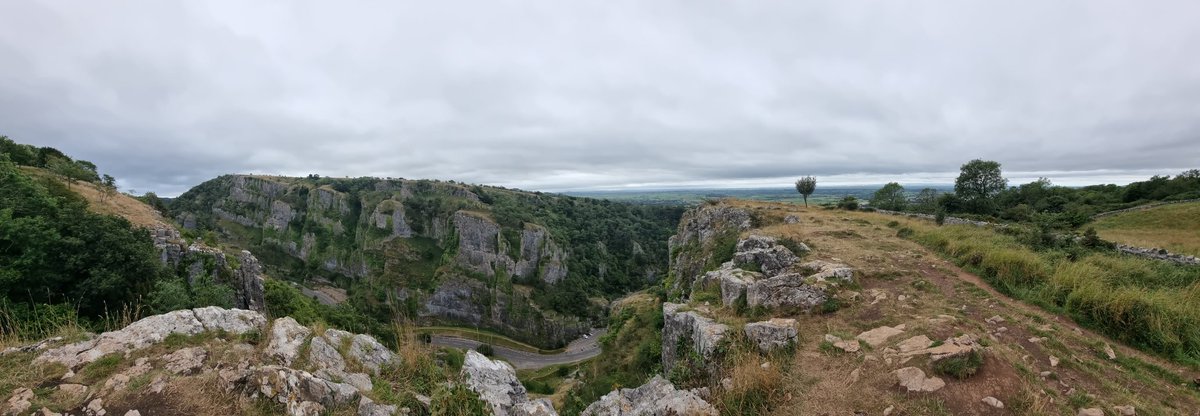 Hannah Vines tweet media