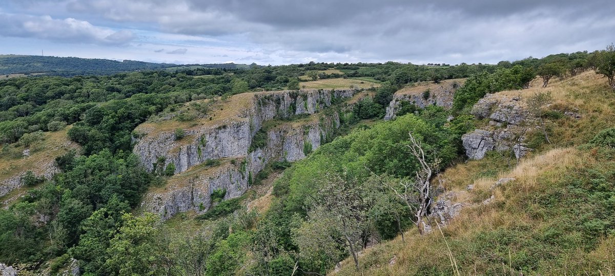 Hannah Vines tweet media