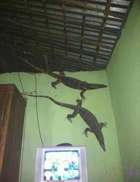 Tardezinha aqui deboa assistindo TV