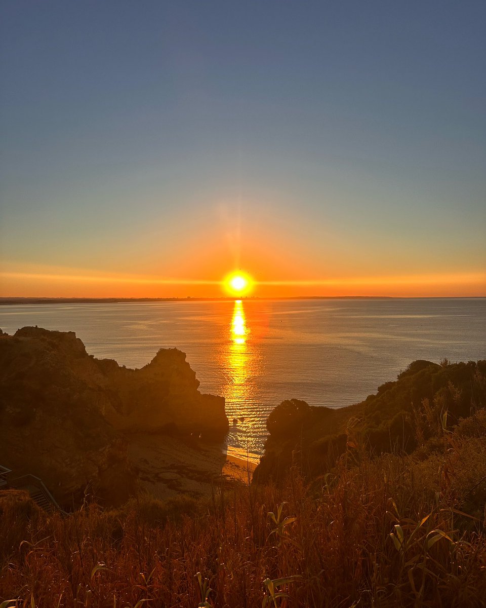 Caitlin Campbell tweet media