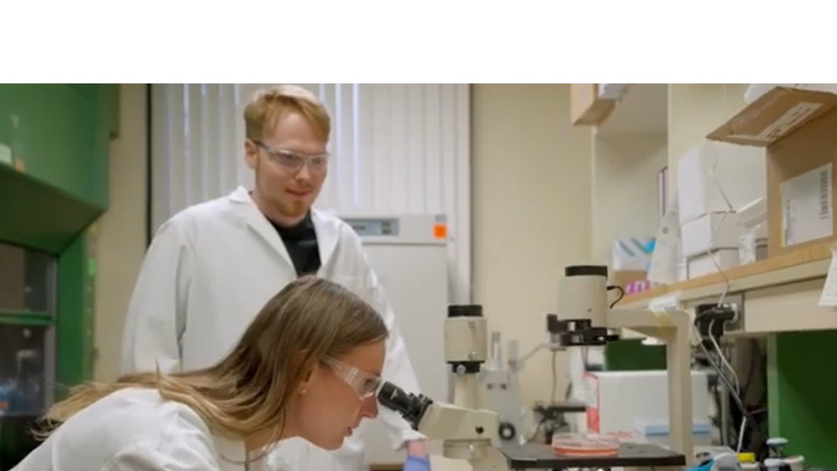 WSUVoiland's tweet photo. #WSU #ChemicalEngineering major Mikayden Weise talks about her research opportunities with @CySER21 this fall on Amazon Prime TV's The College Tour!

Get a sneak peek of the episode at https://t.co/9F1yXNWenv https://t.co/DciH0RBmxo