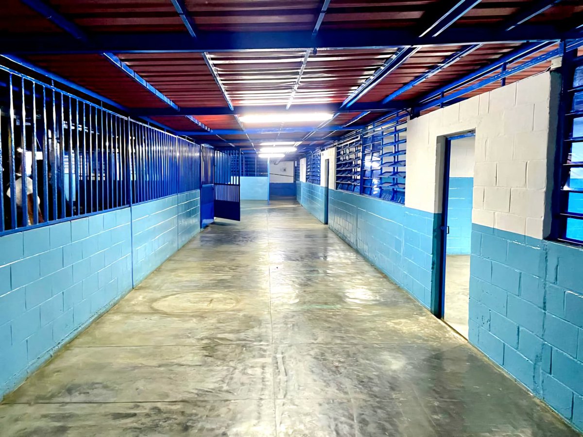 Inspeccionamos los trabajos de rehabilitación del Complejo Educativo Simón Bolívar, ubicado en El Sombrero, municipio Julián Mellado. Nuestro compromiso es asegurar que cada mejora implementada brinde un entorno seguro y una infraestructura de calidad para nuestros estudiantes.