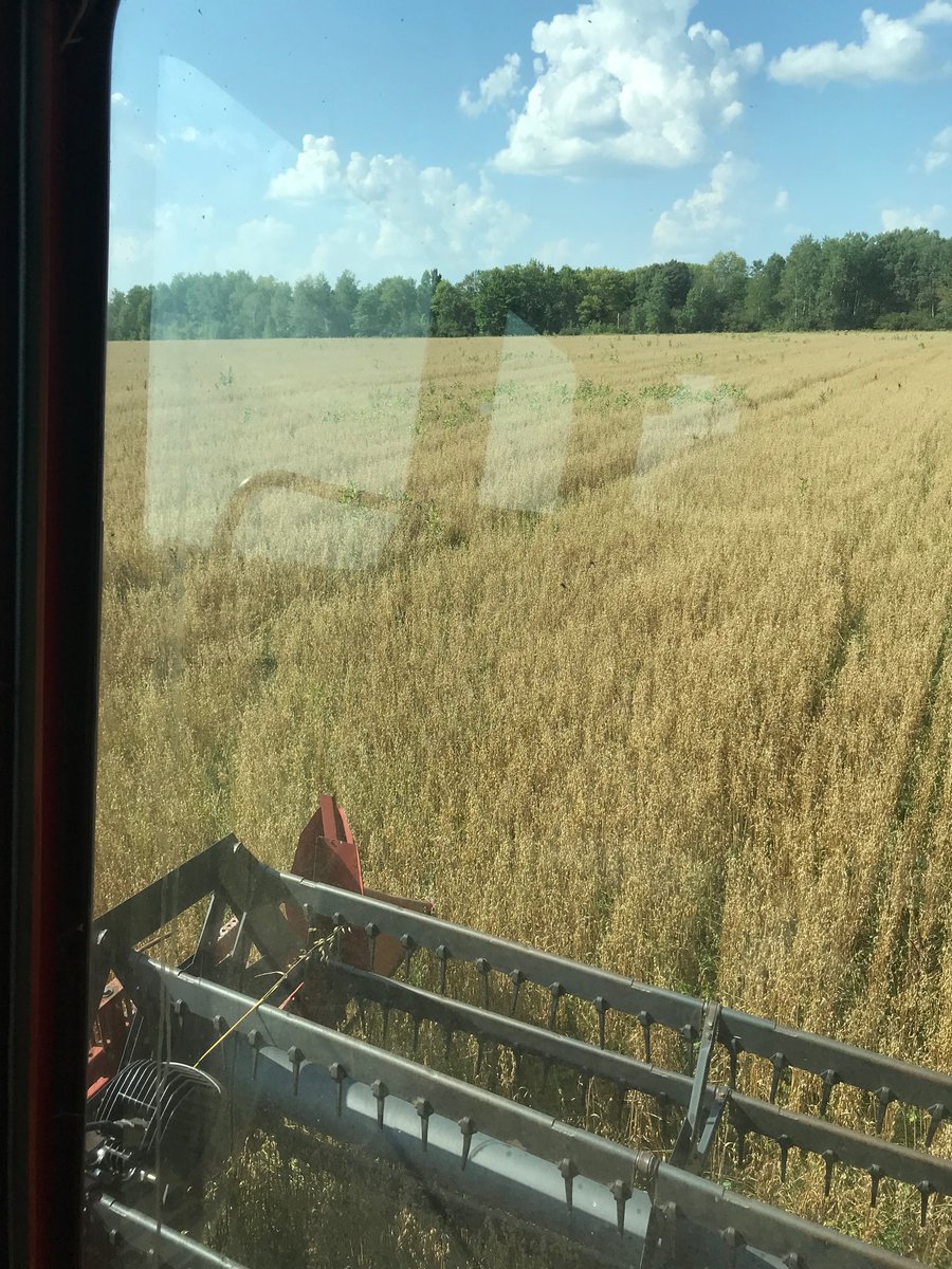 JamesHi13966169's tweet photo. Oat harvest https://t.co/daqGEffGRL