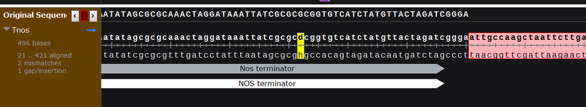 Sebastian S. Cocioba🪄🌷 tweet media
