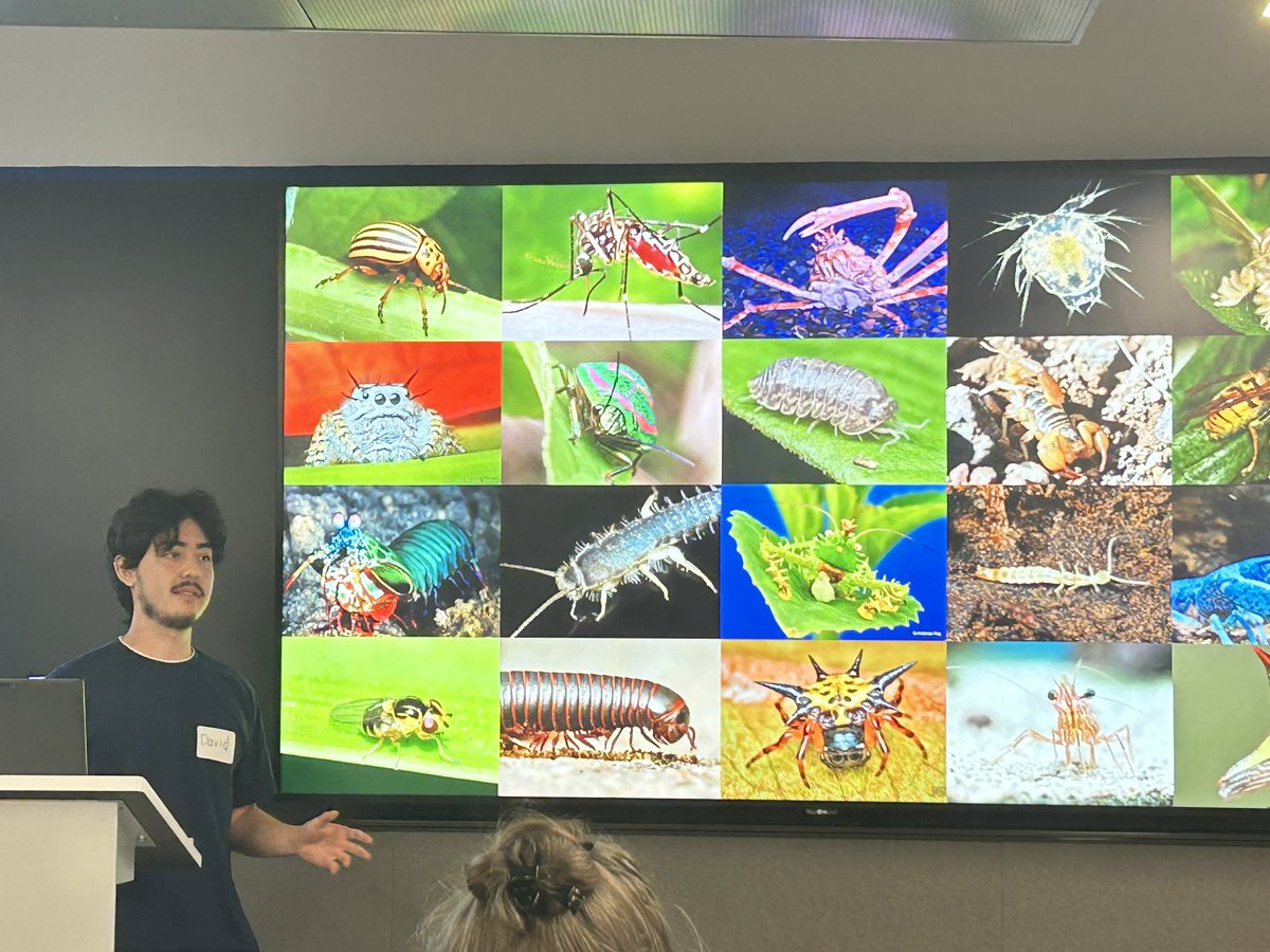 Super proud of undergrad David Carter for winning the poster prize at the <a href="/UofTDSI/">U of T Data Sciences Institute (DSI)</a> SUDS showcase for his work identifying the activity patterns of insects!!