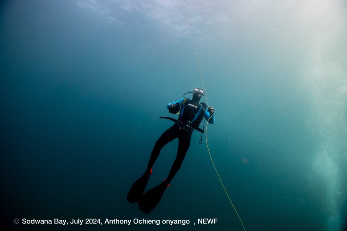 Our dedicated team members Prince Koku and Thierry Aviti <a href="/AMMCO_SIREN/">AMCO</a> , are on their way to becoming dive masters. This is a crucial step towards our ambitious goal of creating Cameroon’s first recreational and scientific dive center.