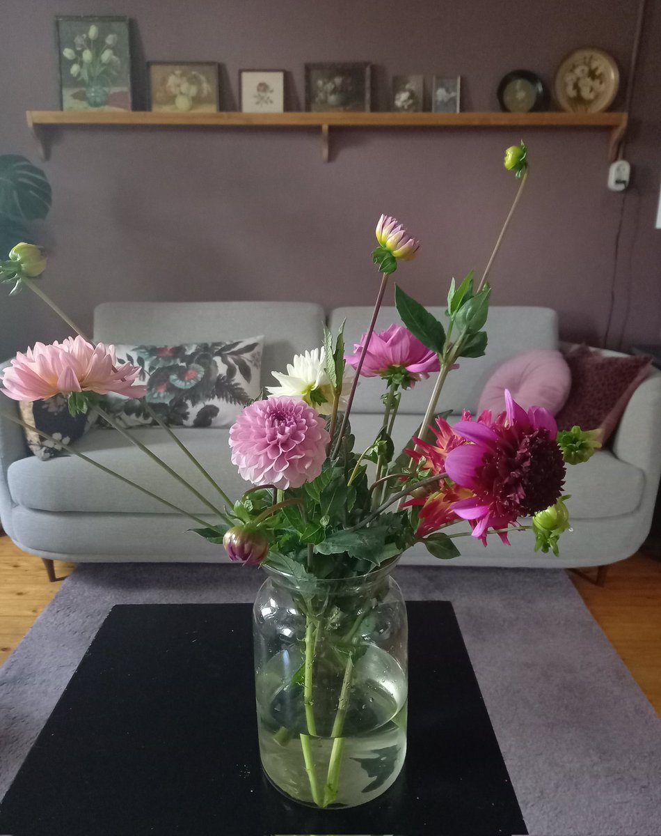 ienapiena's tweet photo. Vanmiddag was ik in de prachtige pluktuin van "Pluck elke dag" in Witharen, bij Ommen.
Ik kon er 3 vazen mee vullen. #aanrader #bezoektip #beeldentuin #terras #pluktuin https://t.co/9s9fh64NcM