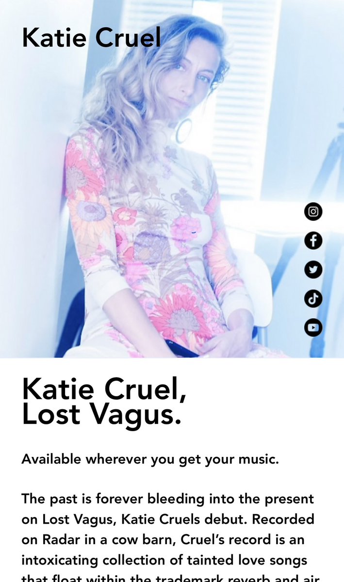 Katie_Cruel_'s tweet photo. It’s official, we are taking orders and it feels so good. Head over to “Cruel World” on my website for vinyl and hand printed, upcycled tshirts . linktree in my bio 🤑
#katiecruel #cruelworld #theshopisopen #lostvagus #tshirts #shop #takesavillage #supportrecordedmusic #nofilter https://t.co/iptVdIhpQm