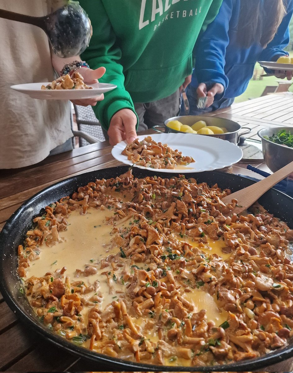 SimonasSatunas's tweet photo. It is "chanterelles time" in #Lithuania! https://t.co/9JFwack4Qi