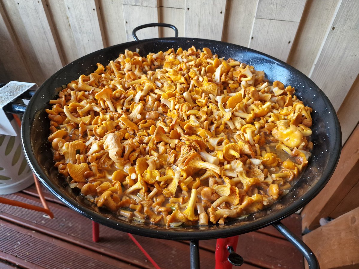 SimonasSatunas's tweet photo. It is "chanterelles time" in #Lithuania! https://t.co/9JFwack4Qi
