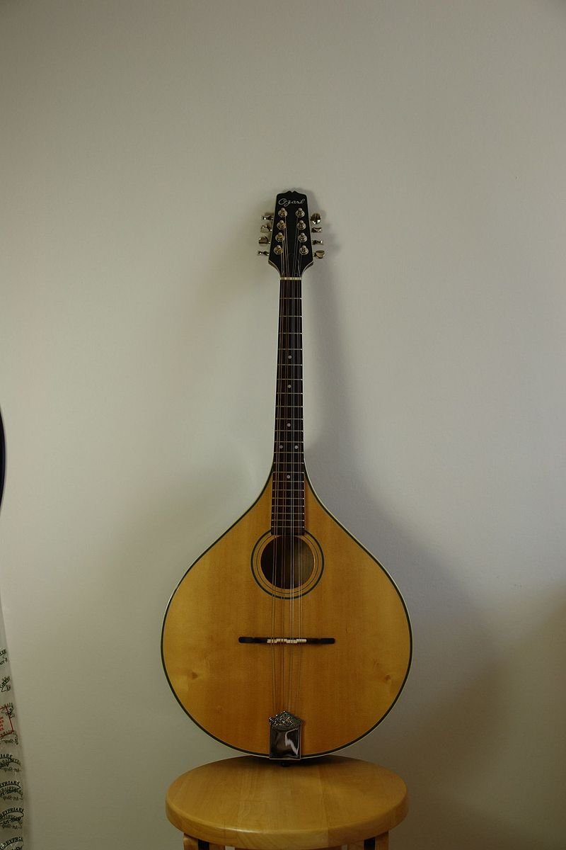 stephennach's tweet photo. #AugustWorldbuilders
15. Instruments
#Mandocello and #Mandobass https://t.co/nUon3LAMn3