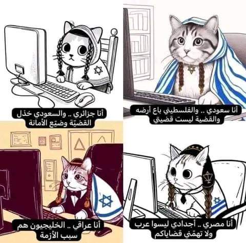 اعتقد واضحه الصورة