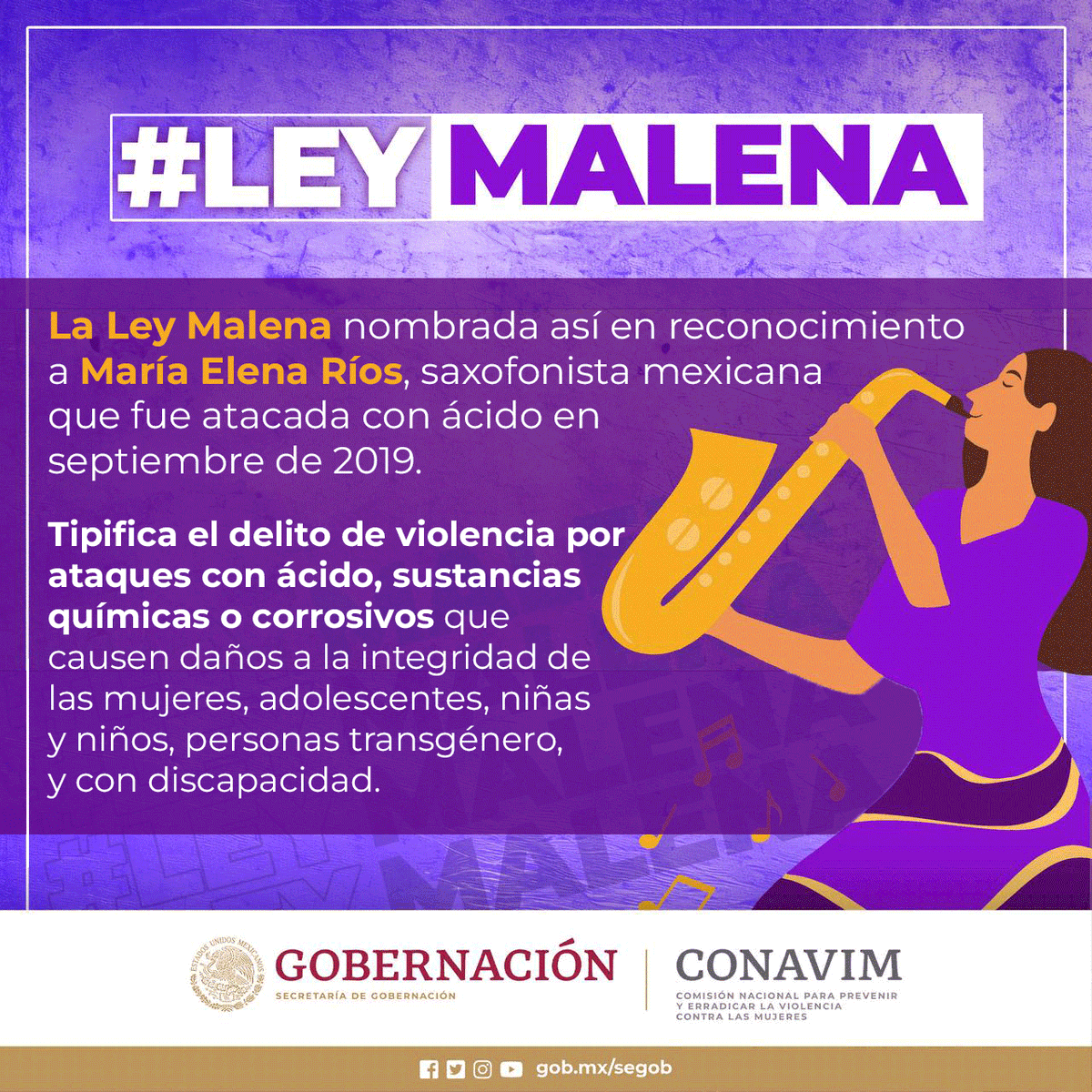CONAVIM_MX tweet media
