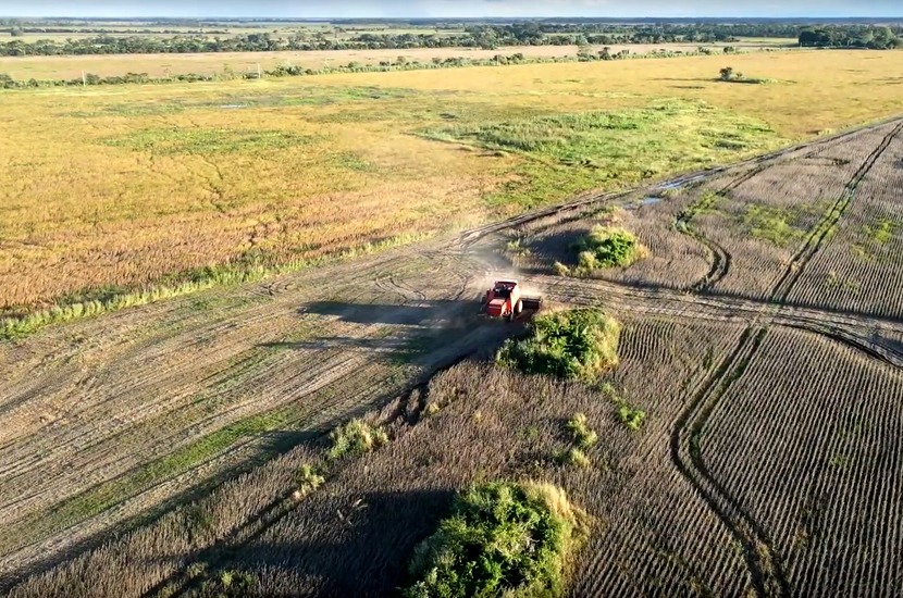 FundacionTIERRA's tweet photo. TIERRA: LOS CULTIVOS GENÉTICAMENTE MODIFICADOS NO CONTRIBUIRÁN A RESOLVER LA CRISIS ECONÓMICA DE #BOLIVIA 
TIERRA fija su postura sobre la propuesta de uso de transgénicos que incluyen la soya Intacta, la soya HB4, el trigo HB4 y el maíz Bt.
Nota ⬇⬇⬇ 
https://t.co/WTdWm5c2dy https://t.co/JlMSP01J3R