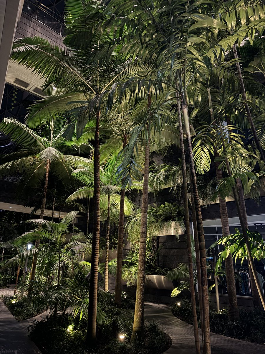 lyu971014's tweet photo. Changi Airport Falls https://t.co/krOqDkVPlH