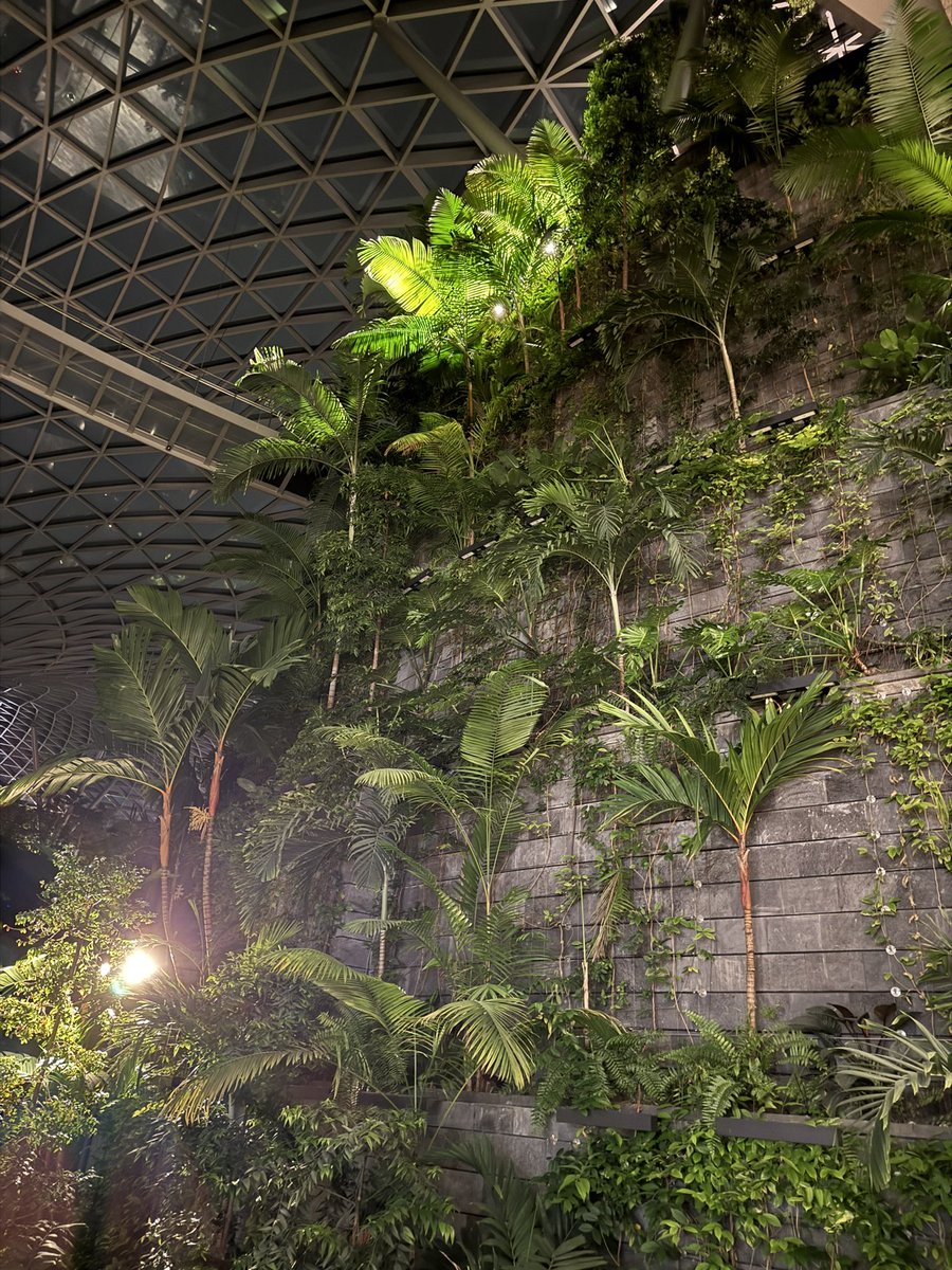 lyu971014's tweet photo. Changi Airport Falls https://t.co/krOqDkVPlH