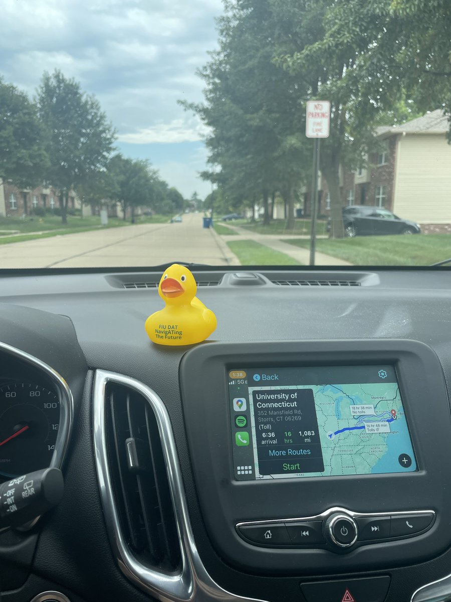 And we’re off! My copilot and I are ready for the next adventure 😎
Road trip fun: my copilot needs a name! Gimme your best ideas 🐥