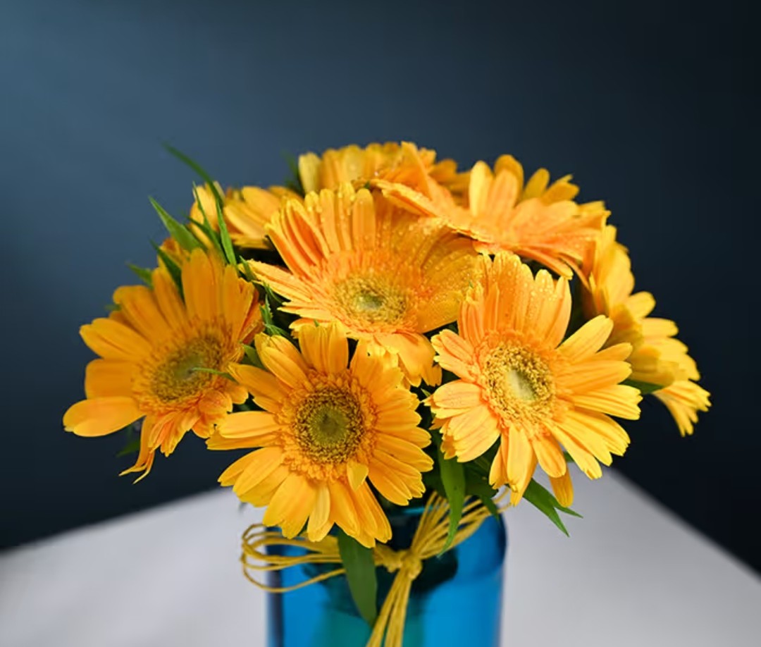 dr jiten tweet media