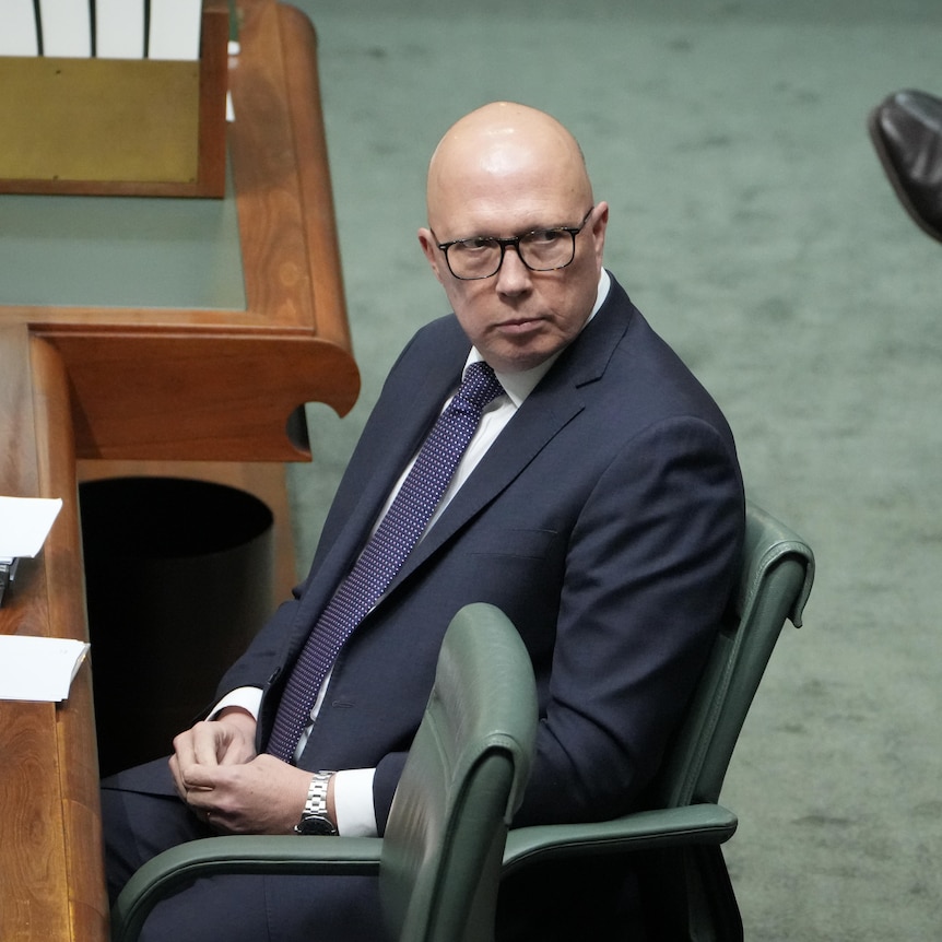 philmupp1's tweet photo. So where does Peter Dutton go to counter the racism attacks from many including Zali Steggall ? You guessed it , The Andrew Bolt Show on Sky After Dark. Yep , that'd be the Andrew Bolt who was found guilty of breaching racial discrimination laws. Nothing like a friendly audience! https://t.co/qOX6K0SS9s
