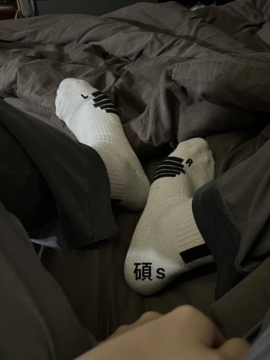 早起的贱狗有鸟吃