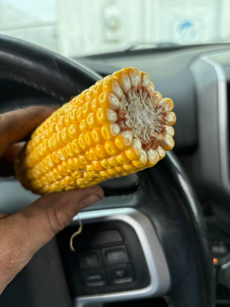 1/8 milk line. How many days till chop?