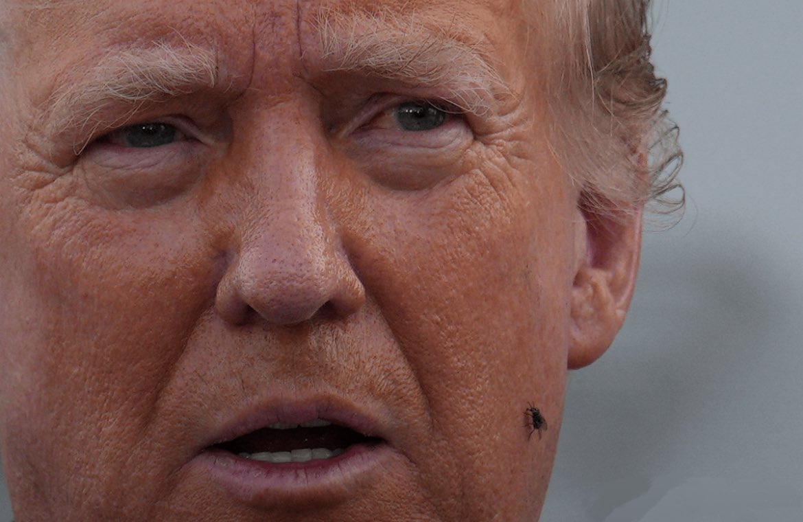 SlenderManDunks's tweet image. Idk @realDonaldTrump ‘s ear looks just fine to me