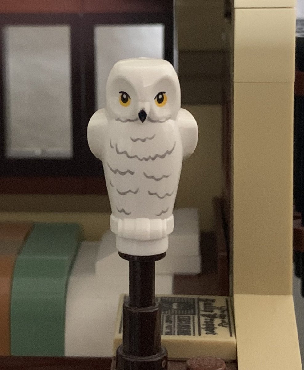 Andtercel's tweet image. Owl hunting #TheFirstFriday #OrbitalChallenge