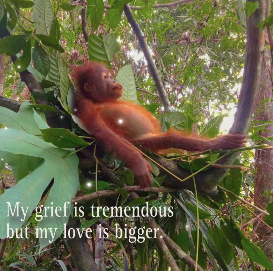 ꧁꧂ (@eat5g) on Twitter photo 