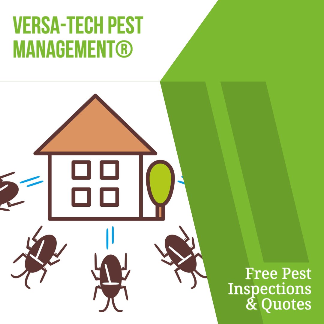 VersaTechPM's tweet photo. Are you looking for trusted #pestremoval services in Los Angeles County? Versa-Tech® is here for you with trusted, pest &amp; rodent removal solutions you can count on. Get your free quote &amp; protect what matters most at (888) 429-1213. #rodentcontrol #pestcontrol #VersaTechPM #pests https://t.co/1Qhx4Ah8A6
