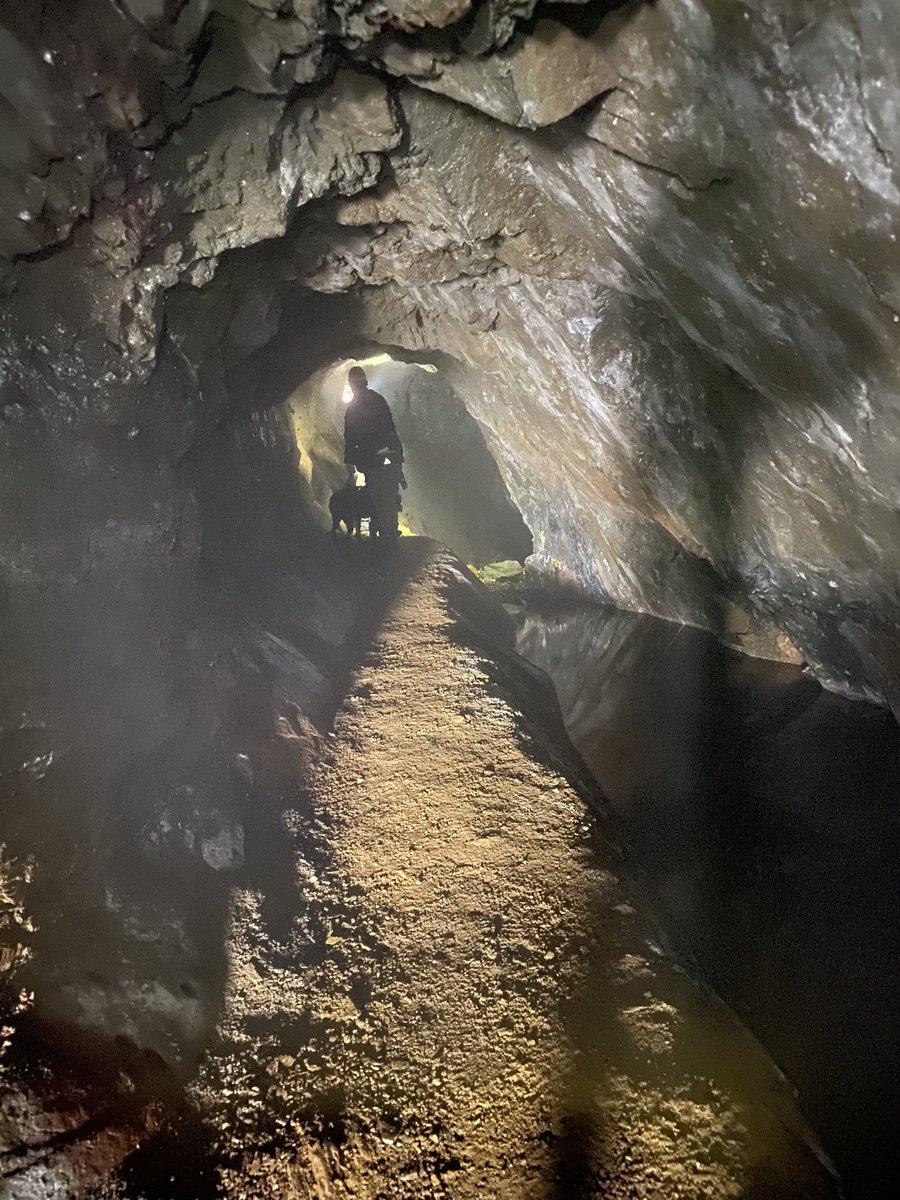 VeganGamerDad's tweet photo. Had an amazing little trip today. Went for a hike and exploring a 200 year old mine up a misty mountain! What an experience! https://t.co/8kJtqF6hAi